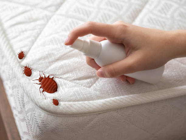 Best Termite Control Services  in Castalia, OH